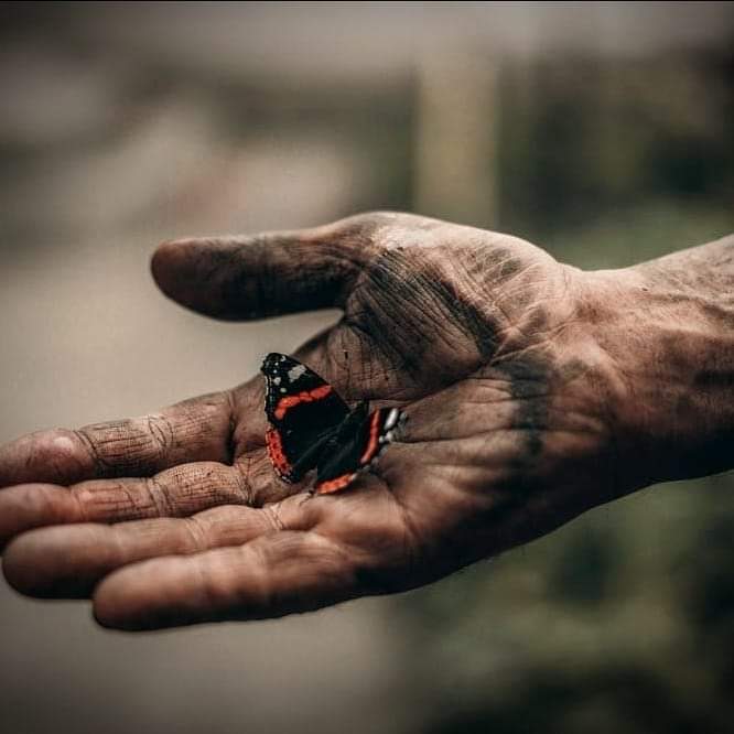 Σε αυτούς που πάλεψαν με το κακό και πήραν το βραβείο...