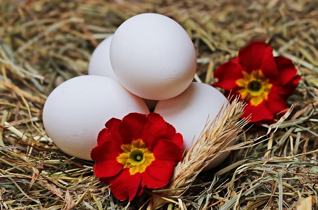 Πως να βράσετε τα αβγά χωρίς να σπάσουν